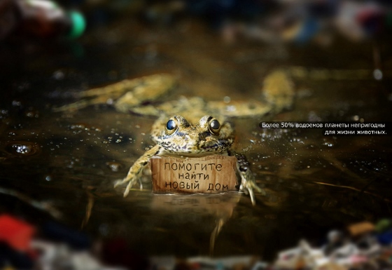 /upload/iblock/393/Please, help to find a new home1 j560x385d.jpg