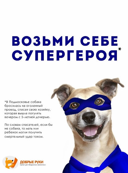 /upload/iblock/6e4/Take the superman home1 z415x560h.jpg