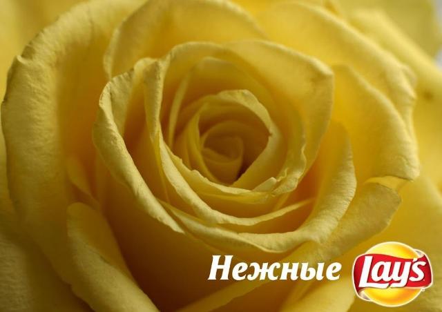 /upload/iblock/b84/Intimate petals.jpg