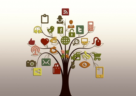 /upload/iblock/1d4/tree-200795_1920.jpg