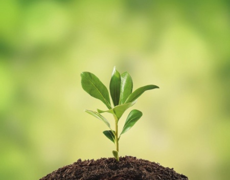 /upload/iblock/213/fotolia_40491832_subscription_monthly_xl.jpg