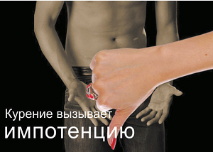/upload/iblock/b76/svtxisy.png