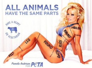 /upload/iblock/e19/pam_anderson_okorok.jpg