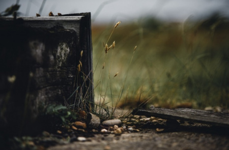 /upload/iblock/f12/alexander-andrews-He4OH2g7oLE-unsplash-788x520.jpg