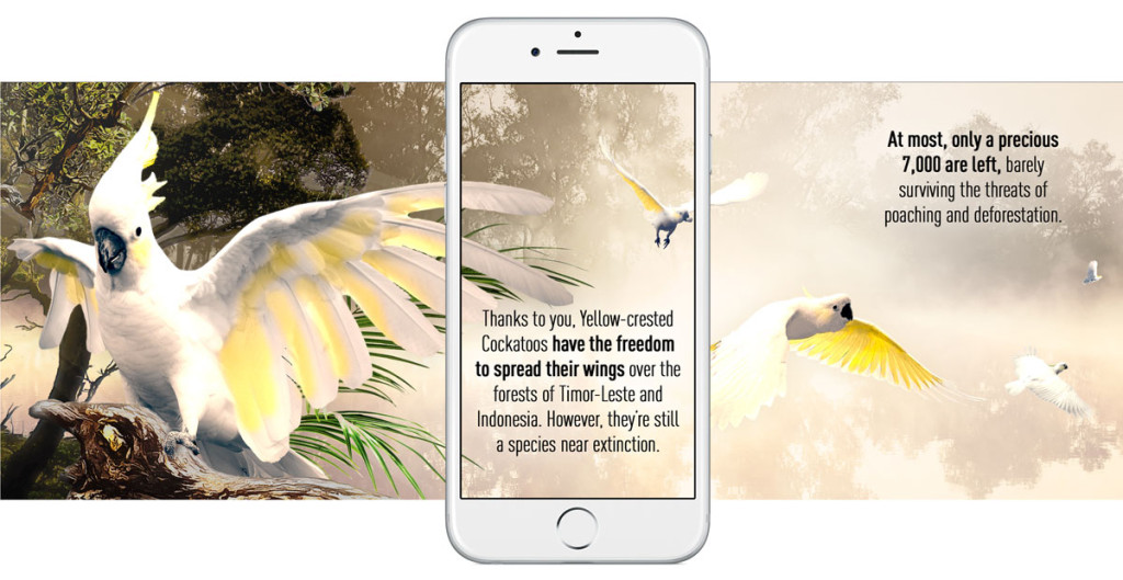 Wildlife-Reserves-Singapore-Web-App-Cockatoo-01a-1024x529.jpg