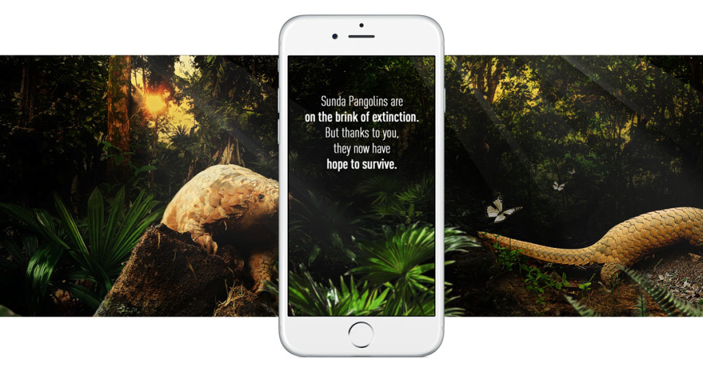 Wildlife-Reserves-Singapore-Web-App-Pangolin-01a-1024x543.jpg
