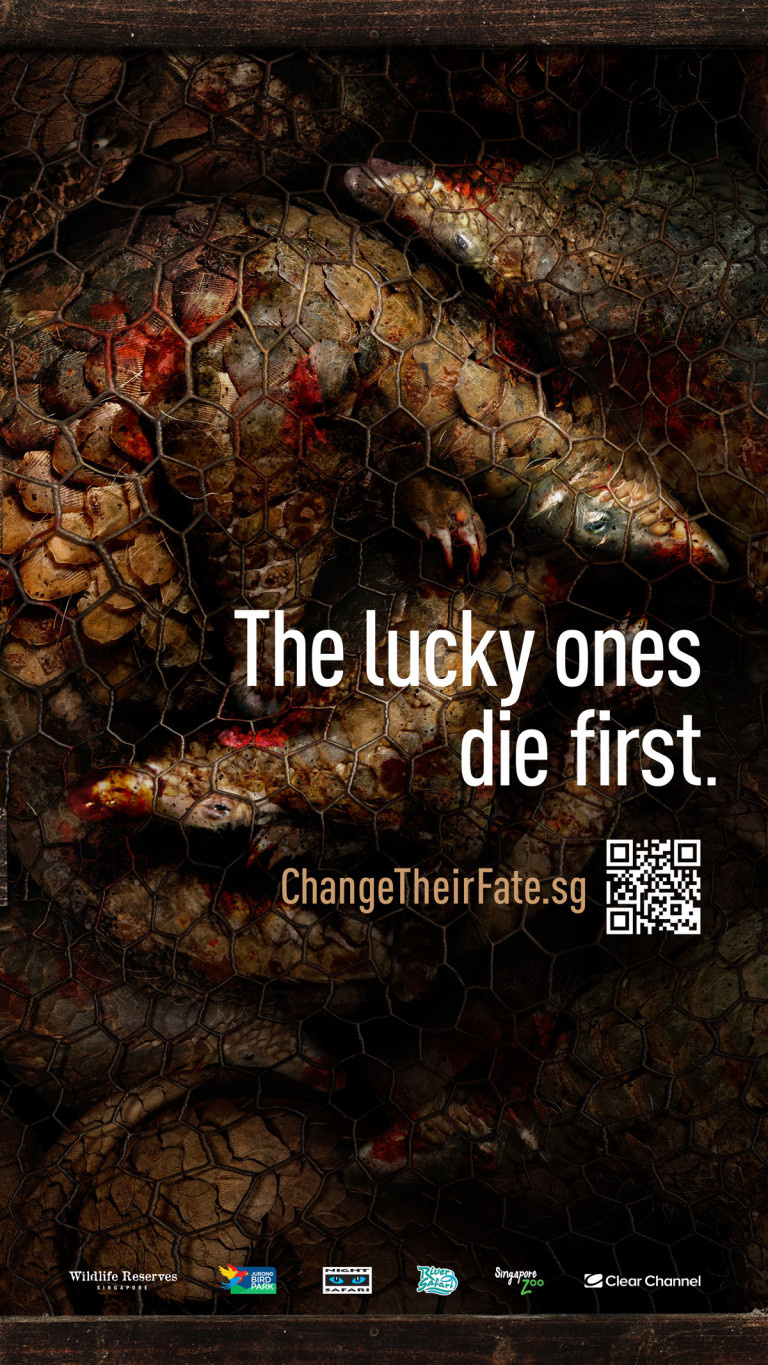 Wildlife-Reserves-Singapore-Pangolin-Bus-Shelter-768x1365.jpg
