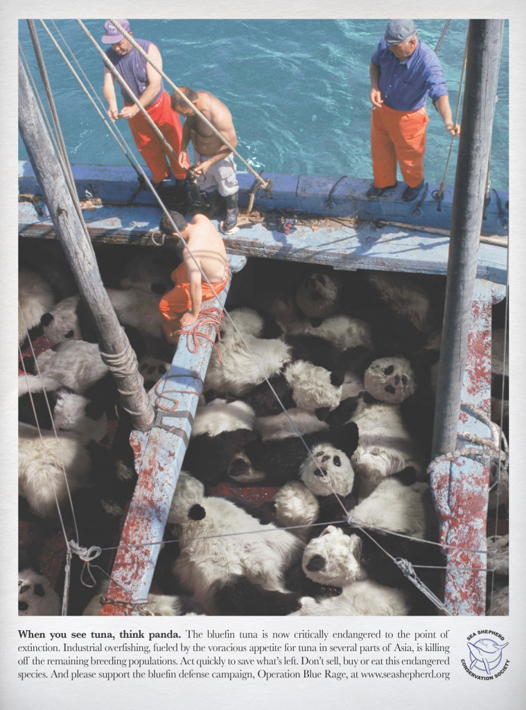 seashepherd-tuna3.jpeg