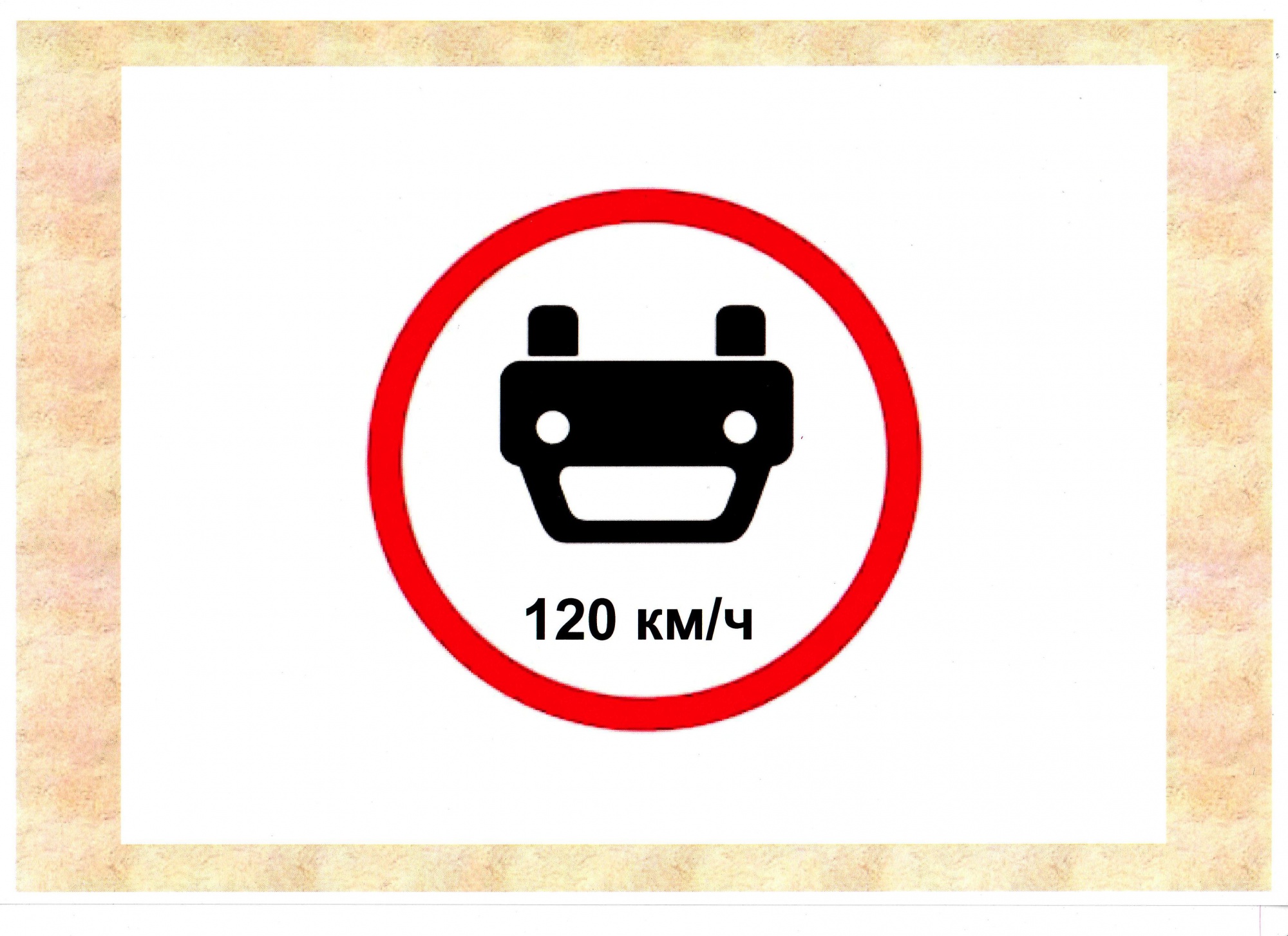 2590.jpg
