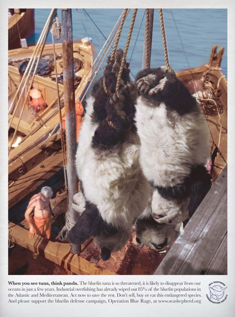 seashepherd-tuna2.jpeg