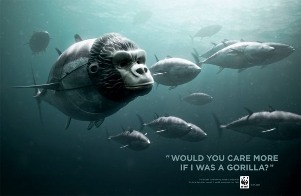 wwf-tunagorilla.preview.jpg