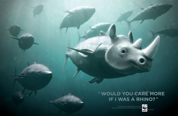 wwf-tunarhino.preview.jpg