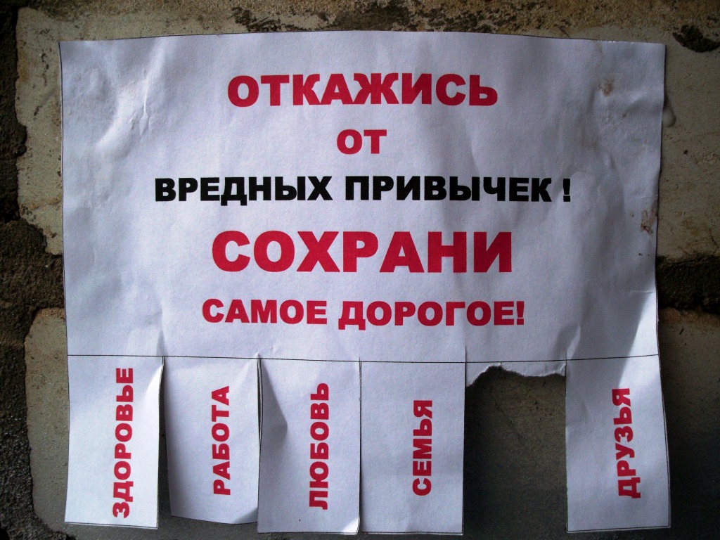 253.JPG